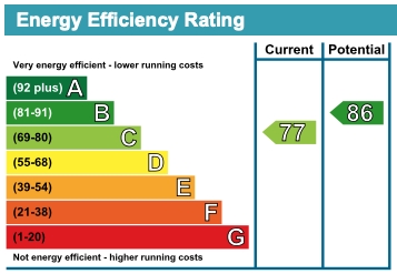 Energy Usage