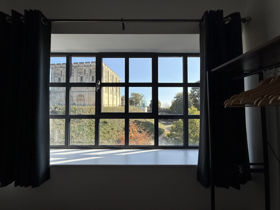 Window
